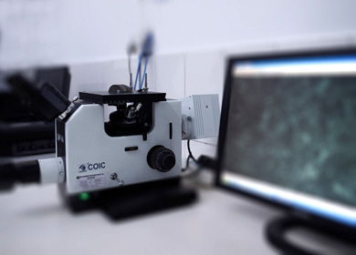 Metallurgical microscope